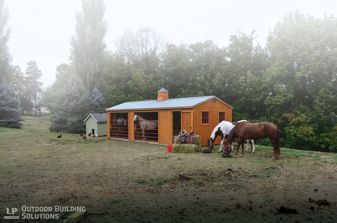 Keep Livestock Cooler in a Loafing Shed Constructed With 