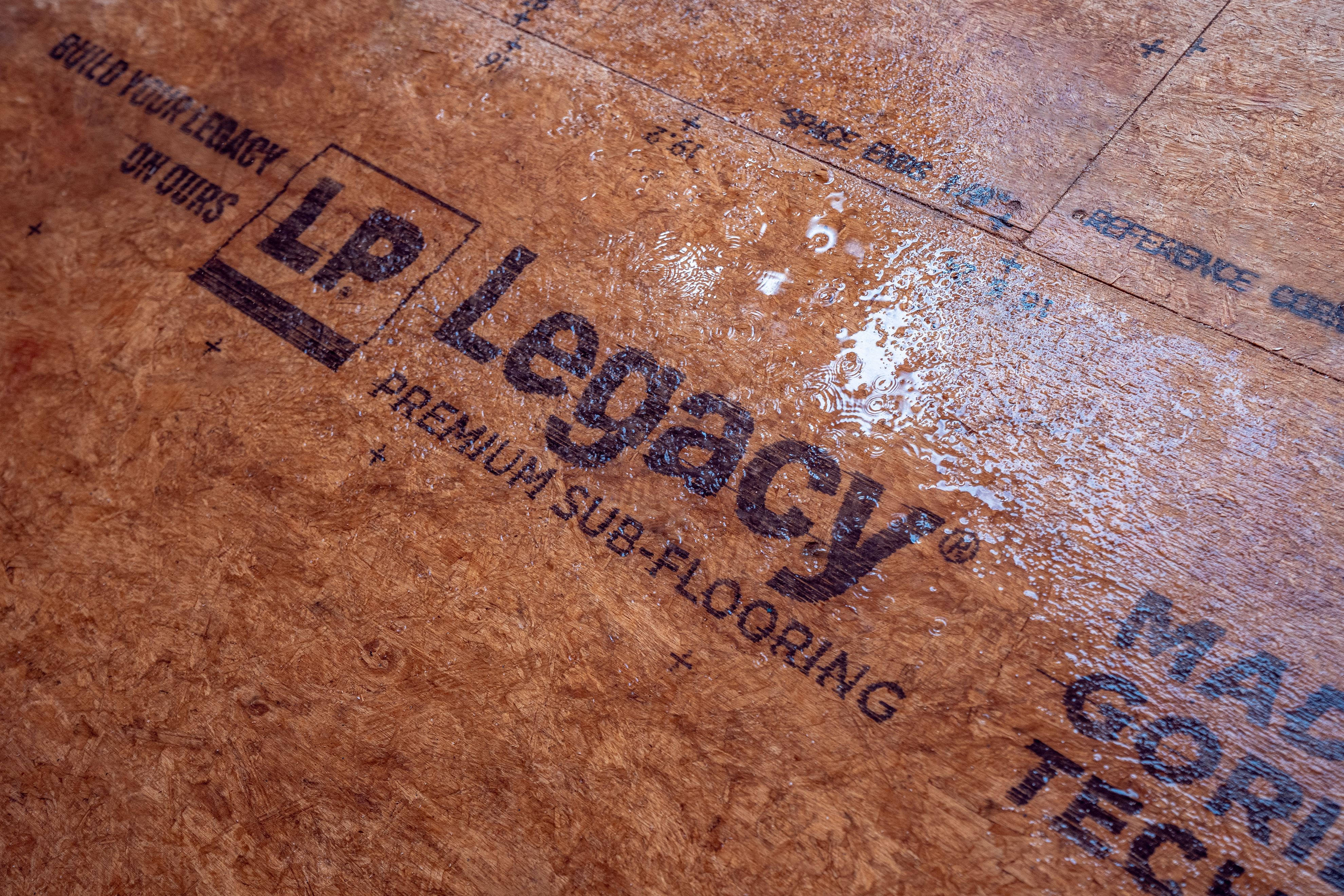 close up of lp legacy